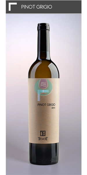 Pinot Grigio 0.75l Temet