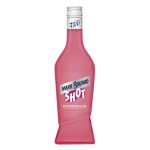 MARIE BRIZARD WATERMELON 0.70L