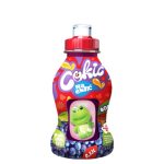 NAEKS COKIC BOROVNICA 0.33L