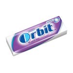 BLUEBERRY ŽVAKE ORBIT