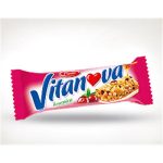 VITANOVA BRUSNICA 25G PIONIR