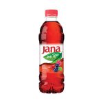 JANA LEDENI ČAJ SUMSKO VOĆE 0.5L