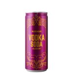 BARMAN VODKA SODA BLUEBERRY 0.33L RUBIN